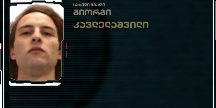 ცოლის მკვლელობაში ბრალდებულს პატიმრობა შეეფარდა