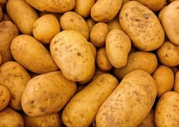 რუსეთიდან საქართველოში ჯანმრთელობისთვის საშიში 20 ტონა კარტოფილი შემოჰქონდათ