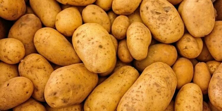 რუსეთიდან საქართველოში ჯანმრთელობისთვის საშიში 20 ტონა კარტოფილი შემოჰქონდათ