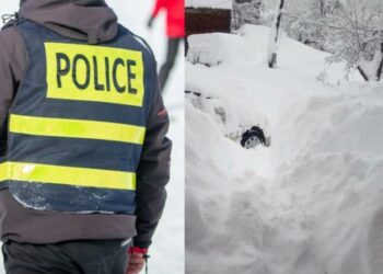 „დაღუპულია ქალი და პოლიციის თანამშრომელი“ – აჭარაში სტიქიას ორი ადამიანი ემსხვერპლა