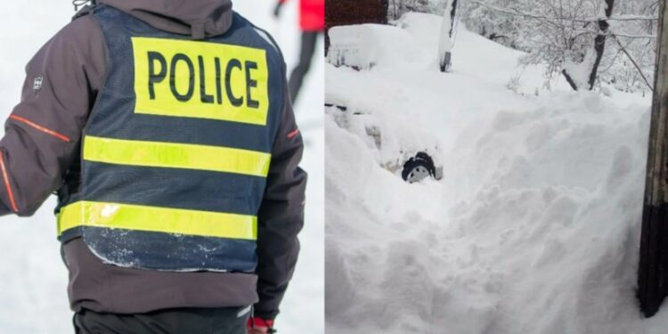 „დაღუპულია ქალი და პოლიციის თანამშრომელი“ – აჭარაში სტიქიას ორი ადამიანი ემსხვერპლა