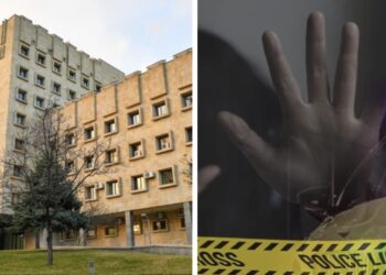 შეზღუდული შესაძლებლობის მქონე პირის გაუპატიურების ფაქტზე 80 წლამდე კაცს ბრალდება წარედგინა