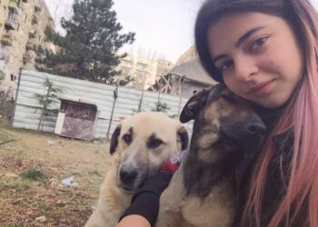 „ჯერ მიუსაფარი ცხოველების პრობლემა მოვაგვაროთ, ჩემნაირ ადამიანებს რომ არ “გვეტენებოდეს” საცოდავი ცხოველები“ – ტასო ლოსაბერიძე