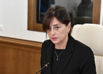 „ყველასთვის სავალდებულო იქნება, გავიაროთ სწავლება, როგორ მოვეპყროთ ჩვენს ძაღლს, რათა არ გახდეს აგრესიული“ – მაია ბითაძე