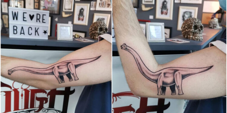 13 კრეატიული ტატუ, რომელიც სხეულთან ერთად მოძრაობს