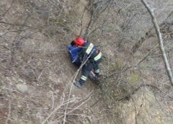 მაშველებმა თელავში დაკარგული მოზარდები 25 მეტრის სიღრმის ხევიდან უვნებლად ამოიყვანეს