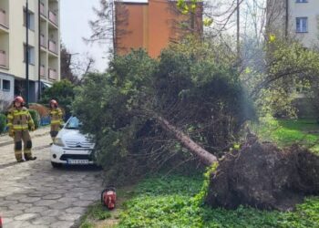 პოლონეთში, ძლიერის ქარის შედეგად, ხუთი ადამიანი დაიღუპა