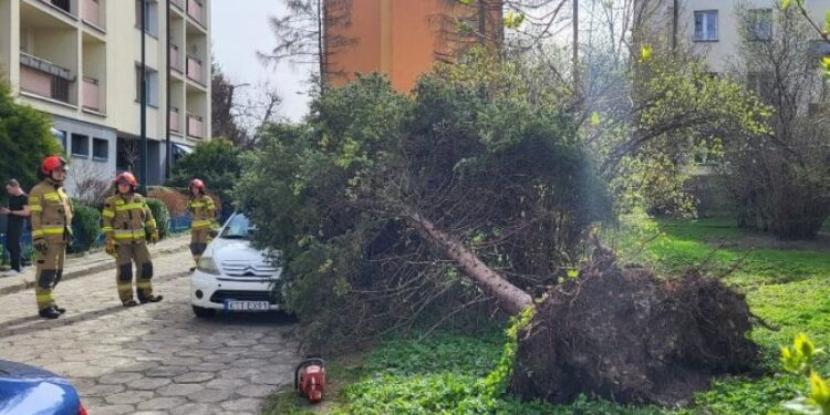პოლონეთში, ძლიერის ქარის შედეგად, ხუთი ადამიანი დაიღუპა
