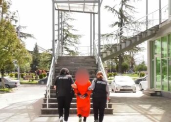 სამტრედიაში, ქმრის მკვლელობის ბრალდებით 29 წლის ქალი დააკავეს