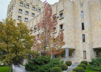 დედა 16 წლის შვილს ქორწინებას აიძულებდა – ქალი დაკავებულია