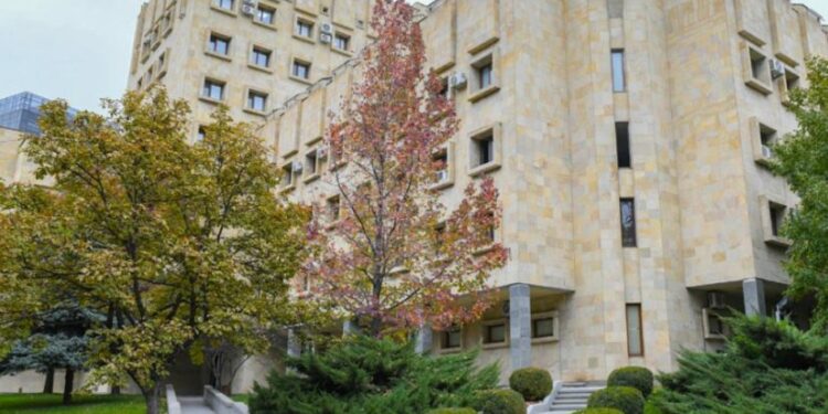 დედა 16 წლის შვილს ქორწინებას აიძულებდა – ქალი დაკავებულია