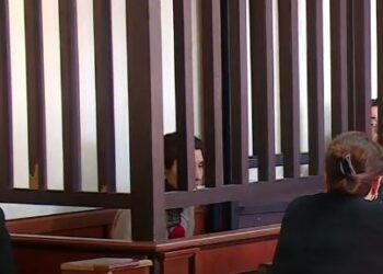 ქმრის მკვლელობისთვის დაკავებული ქალი ამბობს, რომ დანაშაული მისმა ძმამ ჩაიდინა