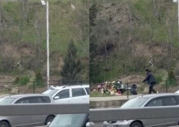 „შუა თბილისი… საფლავიდან იპარავს ყვავილებს და მერე გაყიდის…“ – რა კადრები ვრცელდება სოციალურ ქსელში