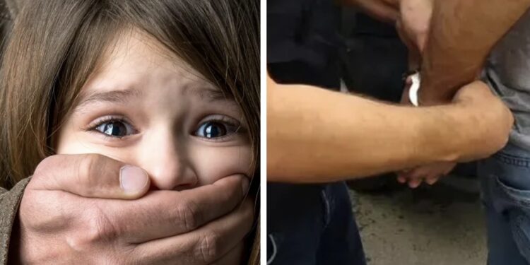 სამეგრელოში, მე-11 კლასელი ბიჭი 8 წლის გოგოს გაუპატიურების მცდელობის გამო დააკავეს