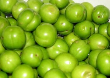 სუპერმარკეტებში 1 კგ ალუჩის ფასი 250 ლარს შეადგენს – რა ღირს იმპორტირებული თუთა და საზამთრო?