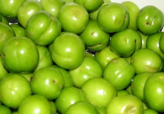 სუპერმარკეტებში 1 კგ ალუჩის ფასი 250 ლარს შეადგენს – რა ღირს იმპორტირებული თუთა და საზამთრო?