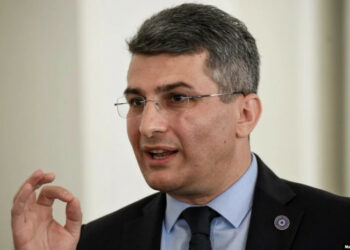 “შეიძლება ვცდები, შეიძლება მონობით მივაღწევთ რასაც გვინდა, მაგრამ ჩვენი პოზიცია ორ ფეხზე დგომაა” – მამუკა მდინარაძე