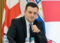 “ამ კანონის ამ ფორმით მიღების იდეა მტრული საქმეა” – თბილისის მერიის თანამშრომელი