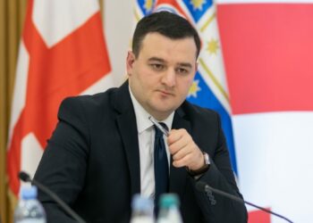 “ამ კანონის ამ ფორმით მიღების იდეა მტრული საქმეა” – თბილისის მერიის თანამშრომელი