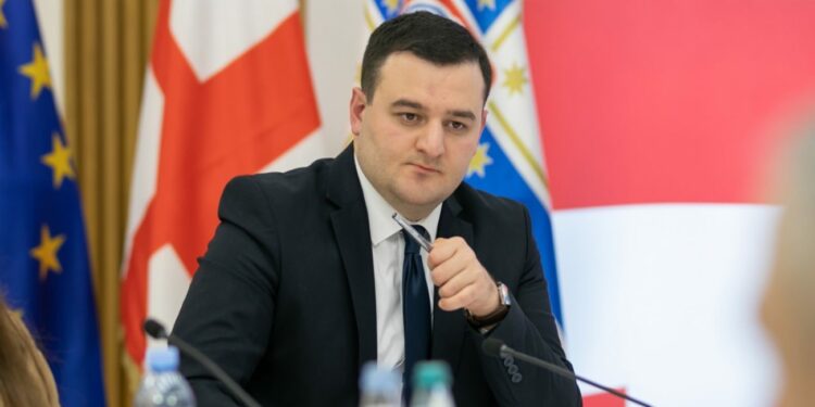 “ამ კანონის ამ ფორმით მიღების იდეა მტრული საქმეა” – თბილისის მერიის თანამშრომელი