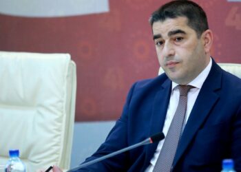 აქციებმა დაგვანახა ხალხის მხარდაჭერა ამ კანონპროექტის მიმართ – პაპუაშვილი