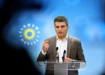 “საკამათო თემა გახდა, მარტოხელა დედას უნდა ჰყავდეს თუ არა შვილი” – მდინარაძე ინ ვიტროზე