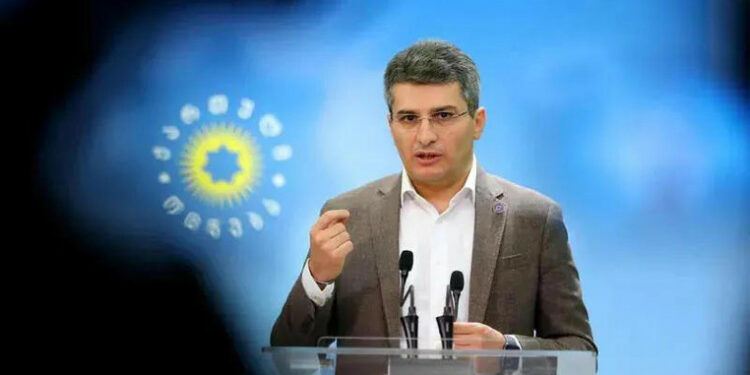 “საკამათო თემა გახდა, მარტოხელა დედას უნდა ჰყავდეს თუ არა შვილი” – მდინარაძე ინ ვიტროზე