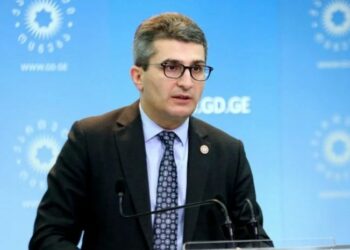 ხალხს ღამე გაათენებინეს და თვითონ შენობაში შესულებმა დაიძინეს – კომიტეტს ვერ მიუსწრეს – მამუკა მდინარაძე