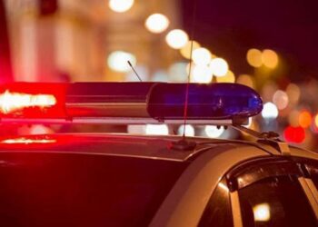 “მიცვალებული სახლში არ მიჰყავთ… გოგოს მამა ამბობს, ჩემი შვილი ციხეში მიდის და ის სახლში მოვასვენოო?” – ვინ არის გარდაბანში ძმის მიერ მოკლული ქალი?