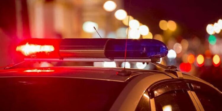 “მიცვალებული სახლში არ მიჰყავთ… გოგოს მამა ამბობს, ჩემი შვილი ციხეში მიდის და ის სახლში მოვასვენოო?” – ვინ არის გარდაბანში ძმის მიერ მოკლული ქალი?