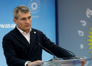 წარადგინა არა ქართული, არამედ ლოკალური ომის ქარტია” – მდინარაძე