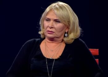 „ეი, ფაშისტებოო! შვილებზე ლაპარაკს მოეშვით! დიახ, ჩვენი მოტანილია ეს თავისუფლება და ასე გამოყენების უფლებას არ მოგცემთ” – ნანა ლორთქიფანიძე