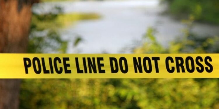 უბედური შემთხვევა ღვანკითში | ადიდებულმა ღელემ ქალი გაიტაცა