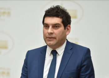 ევროპელების დიდ ნაწილს არ მოსწონს ის ყოფა, რომელიც დღეს არსებობს – დავითულიანი ევროპარლამენტის არჩევნებზე