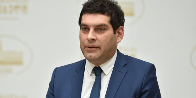 ევროპელების დიდ ნაწილს არ მოსწონს ის ყოფა, რომელიც დღეს არსებობს – დავითულიანი ევროპარლამენტის არჩევნებზე