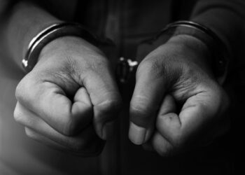 13 წლის გოგო აიძულა მის წინაშე გაშიშვლებულიყო, მისი ინტიმური შინაარსის ვიდეო ოჯახს გაუგზავნა – დაკავებულია 1 პირი