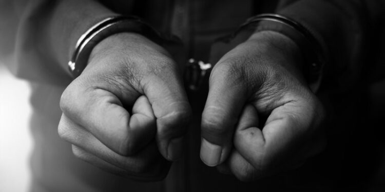 13 წლის გოგო აიძულა მის წინაშე გაშიშვლებულიყო, მისი ინტიმური შინაარსის ვიდეო ოჯახს გაუგზავნა – დაკავებულია 1 პირი