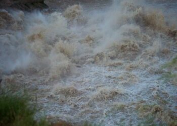 წყალმა ავტომობილები წაიღო, დახოცილია შინაური ფრინველი და საქონელი – ხარაგაულში სტიქიას ებრძვიან
