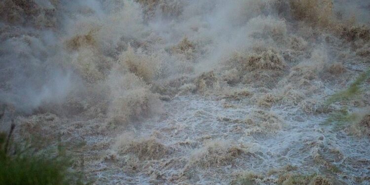 წყალმა ავტომობილები წაიღო, დახოცილია შინაური ფრინველი და საქონელი – ხარაგაულში სტიქიას ებრძვიან