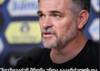 ზივზივაძემ შრომა უნდა გააგრძელოს და დროს აუცილებლად მიიღებს – ვილი სანიოლი