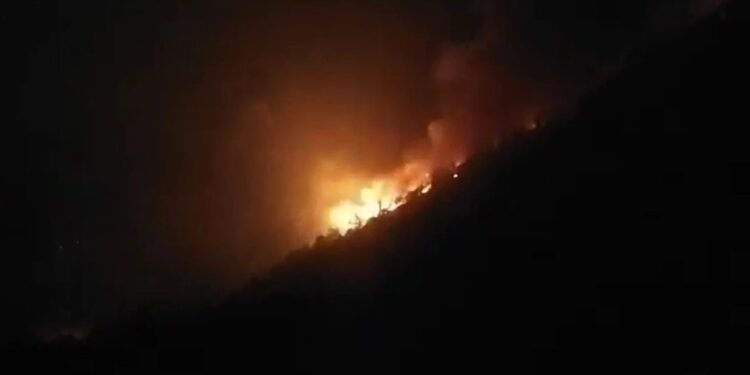 ბორჯომში, ახალდაბის ტყეში ხანძარია