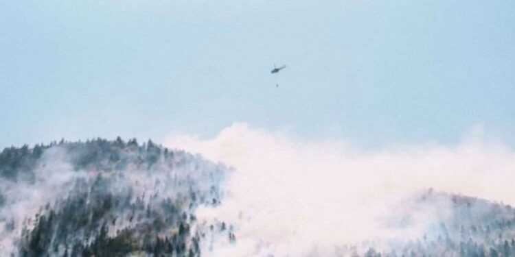 ბორჯომში, ტყის ხანძრის ქრობაში 4 ვერტმფრენი ჩაერთო