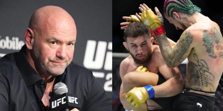 “ვფიქრობ, ო მალის მეხუთე რაუნდში მერაბის დანოკაუტება შეეძლო, როდესაც მუცელში მოარტყა” – დანა უაითი