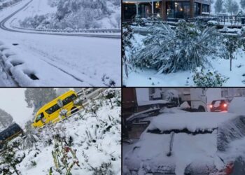 სამხრეთ აფრიკაში არნახული თოვლი მოვიდა