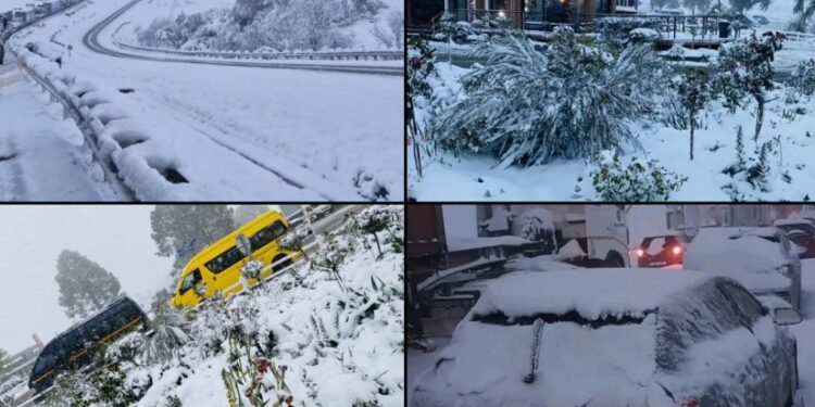 სამხრეთ აფრიკაში არნახული თოვლი მოვიდა