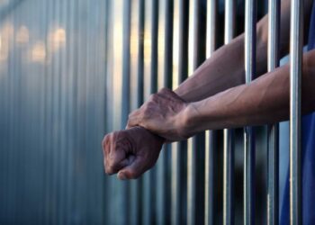 ბებიის გაუპატიურებისთვის დაკავებული 29 წლის კაცი მამიდას პროვოკაციაში ადანაშაულებს