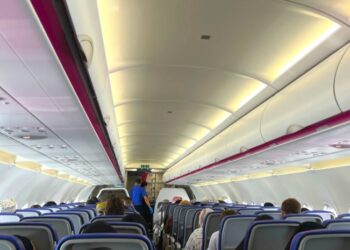 „ჩვენ თვალწინ ცეცხლი აალდა და საშინელი გრუხუნი იყო…“ – რას ამბობს მგზავრი, რომლის თვითმფრინავს მეხი დაეცა