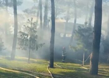 ბათუმის ბულვარში ხანძარია