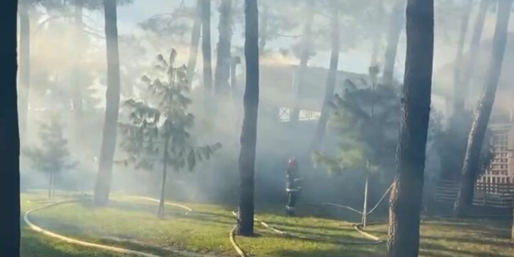 ბათუმის ბულვარში ხანძარია