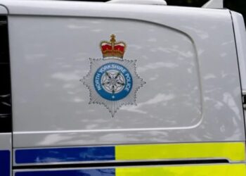 ინგლისში, 10 წლის გოგონას საკუთარმა ძაღლმა უკბინა – სერიოზული დაზიანებების გამო, ის ადგილზე გარდაიცვალა